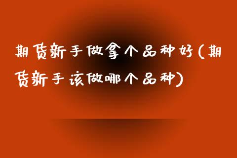 期货新手做拿个品种好(期货新手该做哪个品种)_https://www.zztgc.com_原油期货_第1张