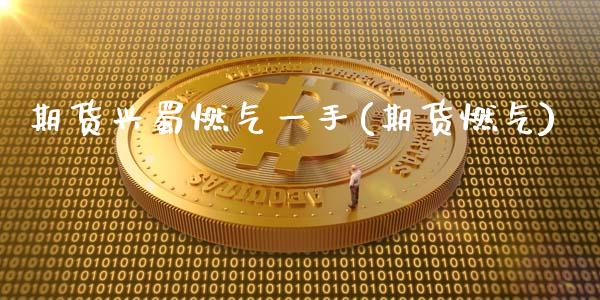期货兴蜀燃气一手(期货燃气)_https://www.zztgc.com_期货入门_第1张