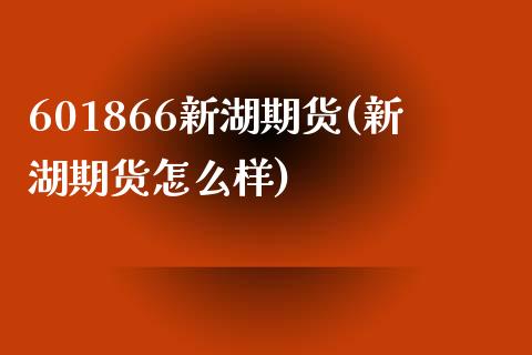 601866新湖期货(新湖期货怎么样)_https://www.zztgc.com_原油期货_第1张