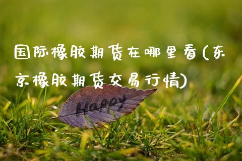 国际橡胶期货在哪里看(东京橡胶期货交易行情)_https://www.zztgc.com_期货行情_第1张