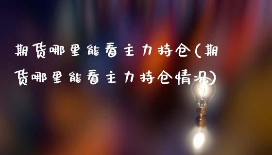 期货哪里能看主力持仓(期货哪里能看主力持仓情况)_https://www.zztgc.com_期货行情_第1张