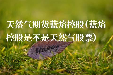 天然气期货蓝焰控股(蓝焰控股是不是天然气股票)_https://www.zztgc.com_期货入门_第1张
