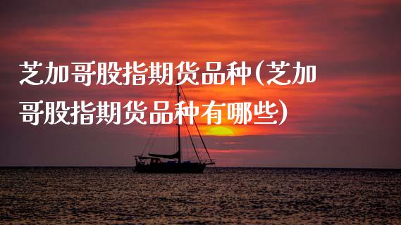 芝加哥股指期货品种(芝加哥股指期货品种有哪些)_https://www.zztgc.com_黄金期货_第1张
