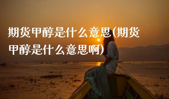 期货甲醇是什么意思(期货甲醇是什么意思啊)_https://www.zztgc.com_原油期货_第1张