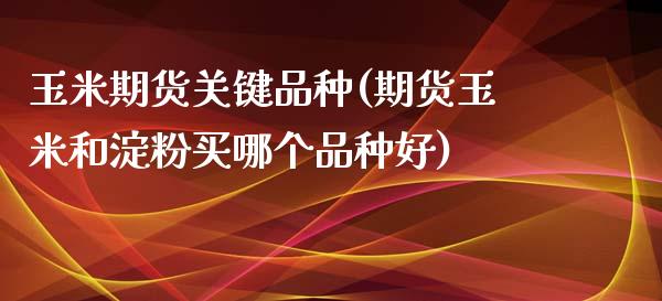 玉米期货关键品种(期货玉米和淀粉买哪个品种好)_https://www.zztgc.com_黄金期货_第1张