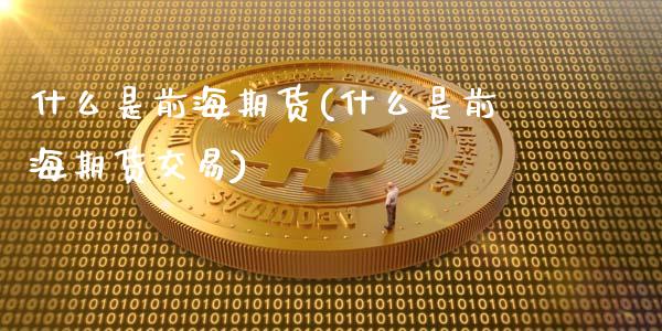 什么是前海期货(什么是前海期货交易)_https://www.zztgc.com_期货直播_第1张
