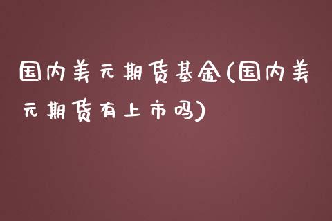 国内美元期货基金(国内美元期货有上市吗)_https://www.zztgc.com_期货入门_第1张