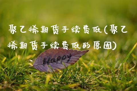 聚乙烯期货手续费低(聚乙烯期货手续费低的原因)_https://www.zztgc.com_期货行情_第1张