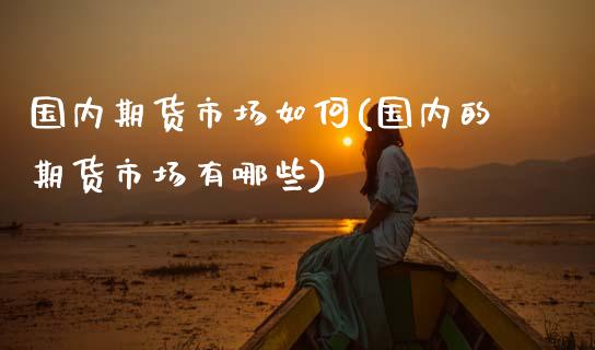 国内期货市场如何(国内的期货市场有哪些)_https://www.zztgc.com_期货行情_第1张