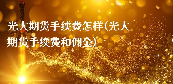 光大期货手续费怎样(光大期货手续费和佣金)_https://www.zztgc.com_原油期货_第1张