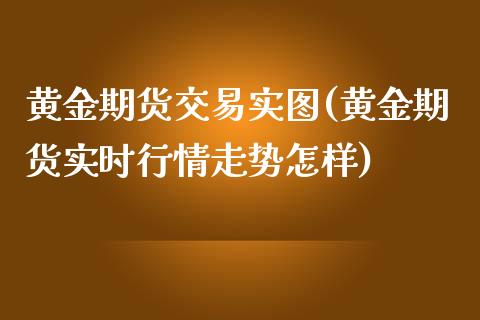 黄金期货交易实图(黄金期货实时行情走势怎样)_https://www.zztgc.com_黄金期货_第1张