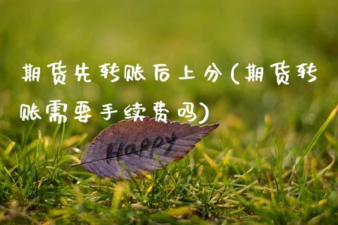 期货先转账后上分(期货转账需要手续费吗)_https://www.zztgc.com_期货入门_第1张
