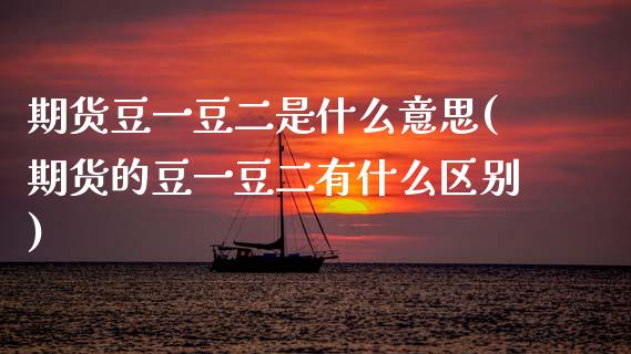 期货豆一豆二是什么意思(期货的豆一豆二有什么区别)_https://www.zztgc.com_期货行情_第1张