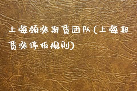 上海领涨期货团队(上海期货涨停板规则)_https://www.zztgc.com_原油期货_第1张