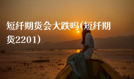 短纤期货会大跌吗(短纤期货2201)_https://www.zztgc.com_黄金期货_第1张