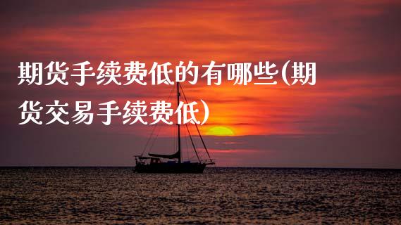 期货手续费低的有哪些(期货交易手续费低)_https://www.zztgc.com_期货入门_第1张