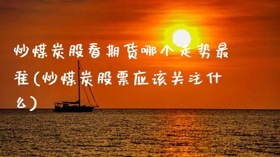 炒煤炭股看期货哪个走势最准(炒煤炭股票应该关注什么)_https://www.zztgc.com_期货行情_第1张