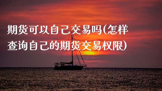 期货可以自己交易吗(怎样查询自己的期货交易权限)_https://www.zztgc.com_黄金期货_第1张