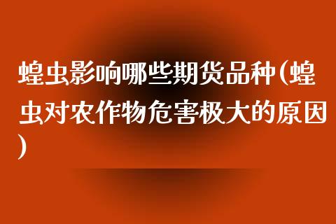 蝗虫影响哪些期货品种(蝗虫对农作物危害极大的原因)_https://www.zztgc.com_期货直播_第1张
