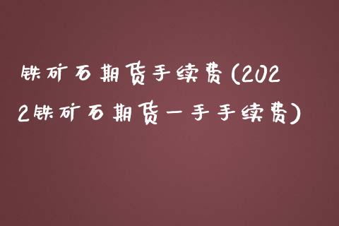 铁矿石期货手续费(2022铁矿石期货一手手续费)_https://www.zztgc.com_期货入门_第1张