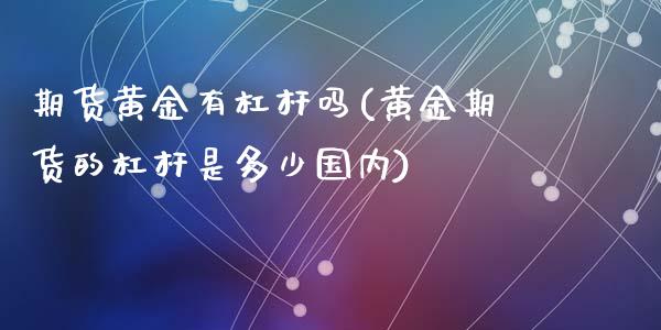 期货黄金有杠杆吗(黄金期货的杠杆是多少国内)_https://www.zztgc.com_期货入门_第1张
