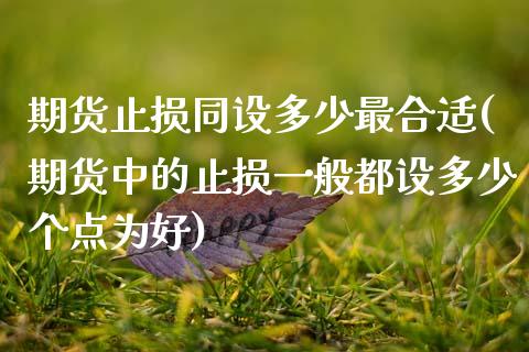 期货止损同设多少最合适(期货中的止损一般都设多少个点为好)_https://www.zztgc.com_原油期货_第1张