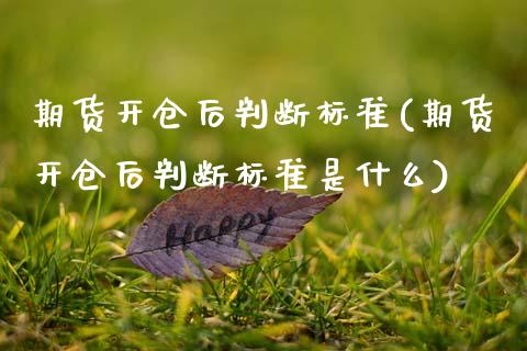 期货开仓后判断标准(期货开仓后判断标准是什么)_https://www.zztgc.com_期货行情_第1张