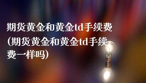 期货黄金和黄金td手续费(期货黄金和黄金td手续费一样吗)_https://www.zztgc.com_黄金期货_第1张
