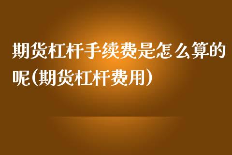 期货杠杆手续费是怎么算的呢(期货杠杆费用)_https://www.zztgc.com_原油期货_第1张