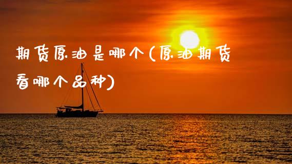 期货原油是哪个(原油期货看哪个品种)_https://www.zztgc.com_期货入门_第1张