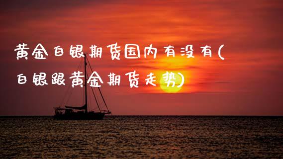 黄金白银期货国内有没有(白银跟黄金期货走势)_https://www.zztgc.com_期货入门_第1张