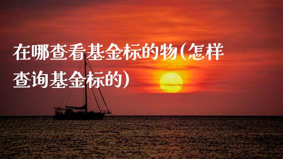 在哪查看基金标的物(怎样查询基金标的)_https://www.zztgc.com_期货入门_第1张