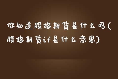 你知道股指期货是什么吗(股指期货if是什么意思)_https://www.zztgc.com_期货开户_第1张