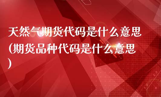 天然气期货代码是什么意思(期货品种代码是什么意思)_https://www.zztgc.com_期货入门_第1张