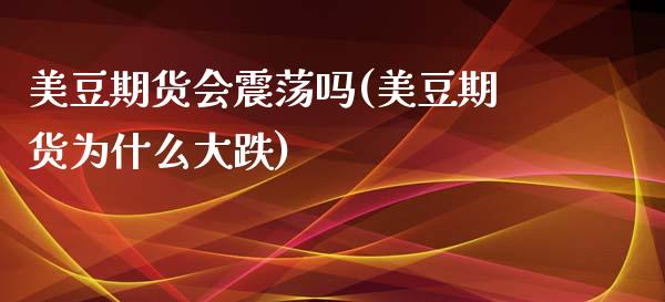 美豆期货会震荡吗(美豆期货为什么大跌)_https://www.zztgc.com_黄金期货_第1张