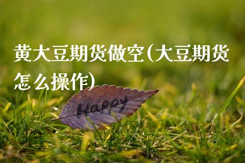 黄大豆期货做空(大豆期货怎么操作)_https://www.zztgc.com_期货直播_第1张