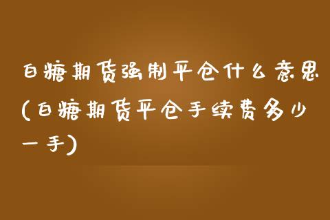 白糖期货强制平仓什么意思(白糖期货平仓手续费多少一手)_https://www.zztgc.com_原油期货_第1张