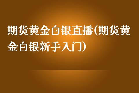 期货黄金白银直播(期货黄金白银新手入门)_https://www.zztgc.com_期货直播_第1张