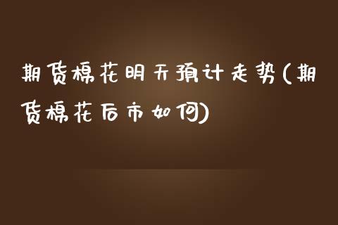 期货棉花明天预计走势(期货棉花后市如何)_https://www.zztgc.com_期货行情_第1张