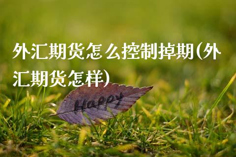 外汇期货怎么控制掉期(外汇期货怎样)_https://www.zztgc.com_黄金期货_第1张