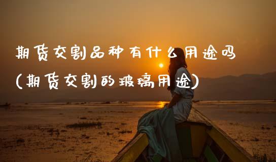 期货交割品种有什么用途吗(期货交割的玻璃用途)_https://www.zztgc.com_期货行情_第1张