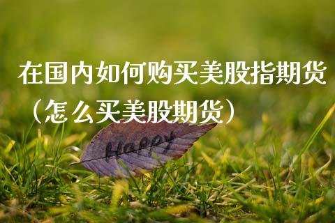 在国内如何购买美股指期货（怎么买美股期货）_https://www.zztgc.com_原油期货_第1张