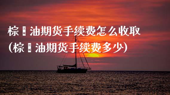棕榈油期货手续费怎么收取(棕榈油期货手续费多少)_https://www.zztgc.com_黄金期货_第1张