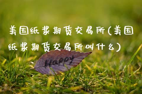 美国纸浆期货交易所(美国纸浆期货交易所叫什么)_https://www.zztgc.com_期货开户_第1张