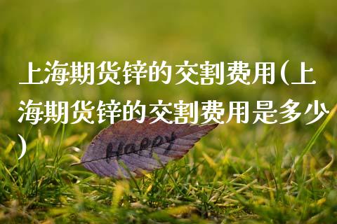 上海期货锌的交割费用(上海期货锌的交割费用是多少)_https://www.zztgc.com_期货行情_第1张