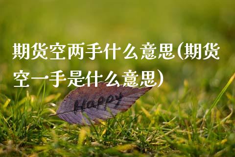 期货空两手什么意思(期货空一手是什么意思)_https://www.zztgc.com_黄金期货_第1张