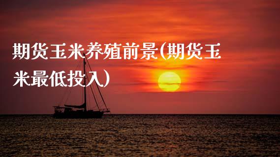 期货玉米养殖前景(期货玉米最低投入)_https://www.zztgc.com_期货入门_第1张