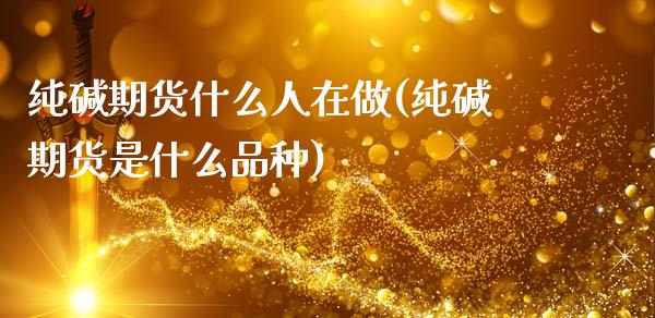 纯碱期货什么人在做(纯碱期货是什么品种)_https://www.zztgc.com_期货直播_第1张