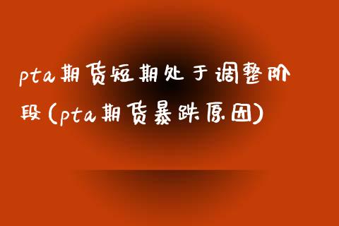pta期货短期处于调整阶段(pta期货暴跌原因)_https://www.zztgc.com_期货直播_第1张