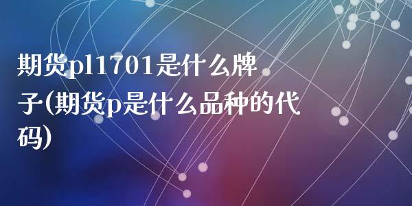 期货pl1701是什么牌子(期货p是什么品种的代码)_https://www.zztgc.com_原油期货_第1张